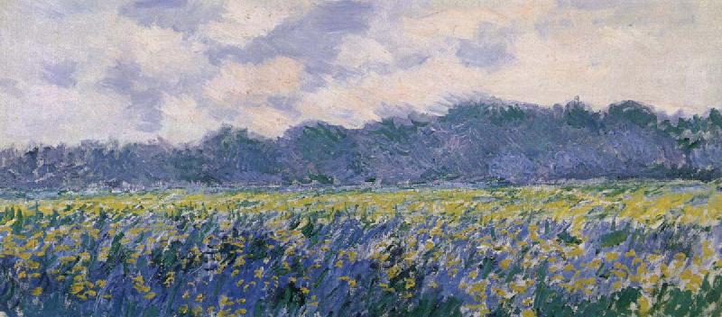Claude Monet Field of Irses at Giverny France oil painting art